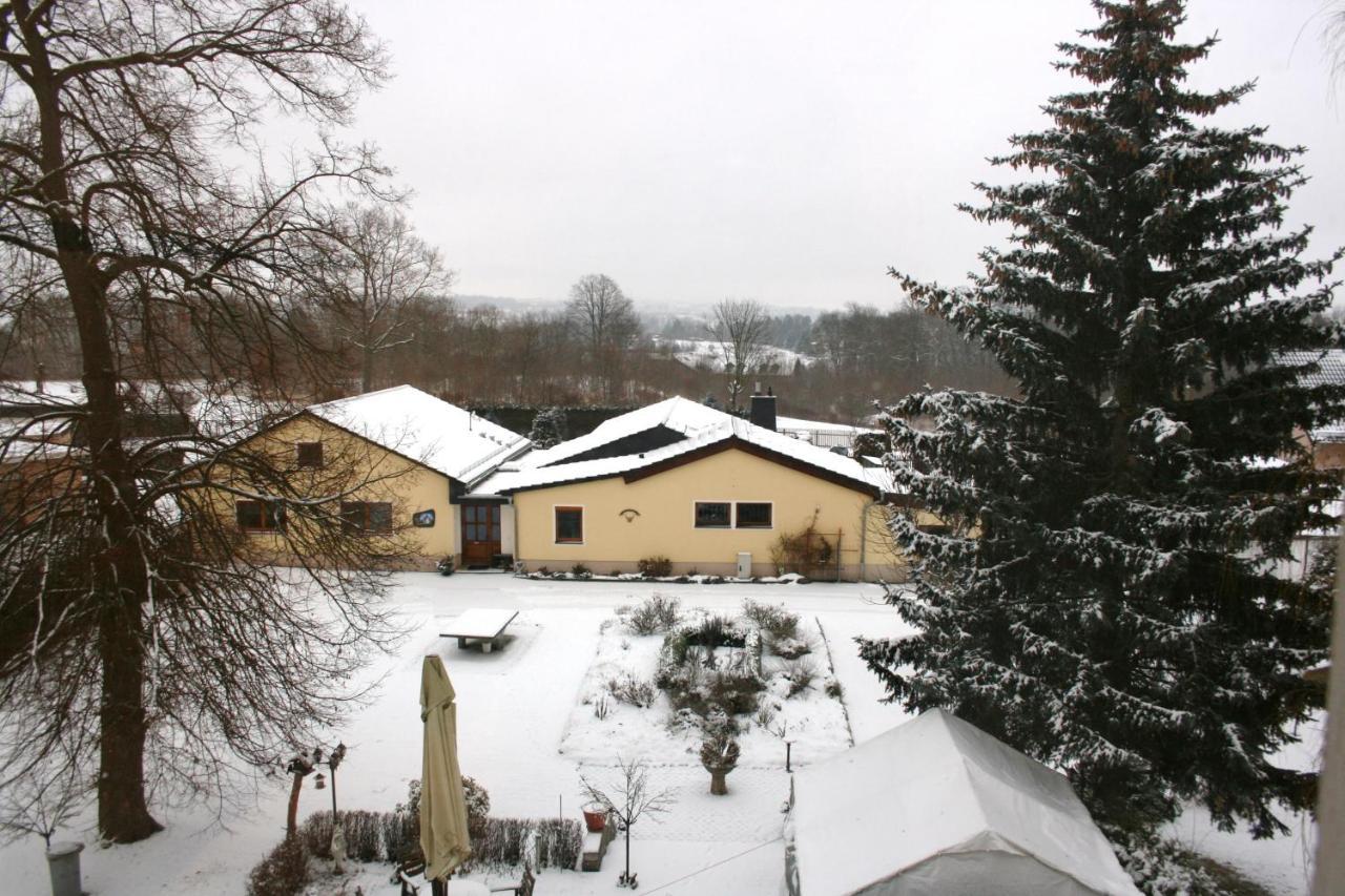 Villa Goeltzschtalblick Netzschkau Exterior photo